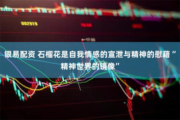 银易配资 石榴花是自我情感的宣泄与精神的慰藉“精神世界的镜像”