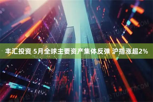 丰汇投资 5月全球主要资产集体反弹 沪指涨超2%