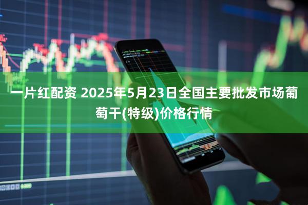 一片红配资 2025年5月23日全国主要批发市场葡萄干(特级)价格行情