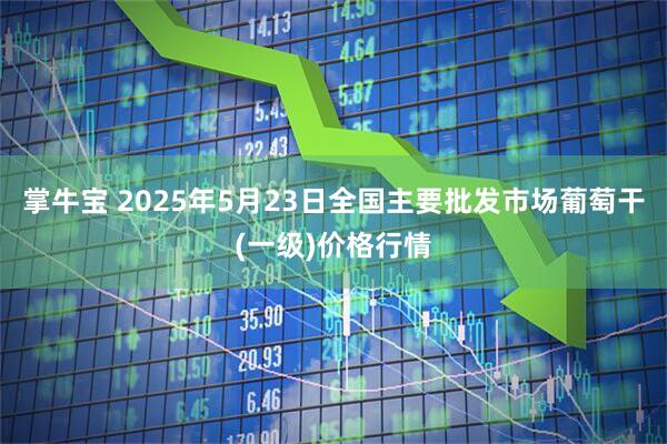 掌牛宝 2025年5月23日全国主要批发市场葡萄干(一级)价格行情