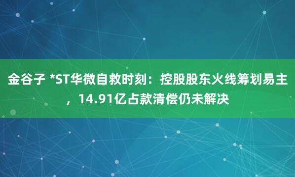 金谷子 *ST华微自救时刻：控股股东火线筹划易主，14.91亿占款清偿仍未解决