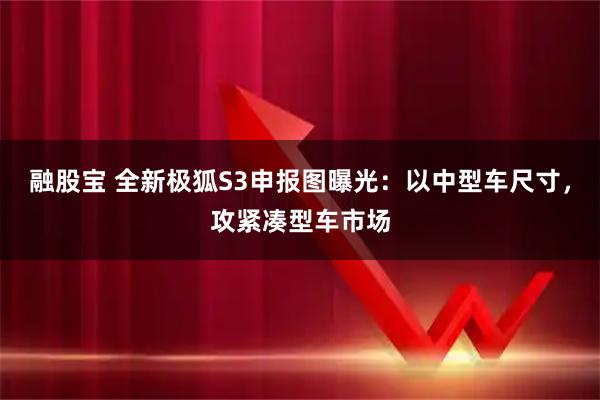 融股宝 全新极狐S3申报图曝光：以中型车尺寸，攻紧凑型车市场