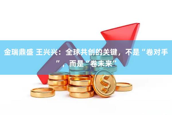 金瑞鼎盛 王兴兴：全球共创的关键，不是“卷对手”，而是“卷未来”