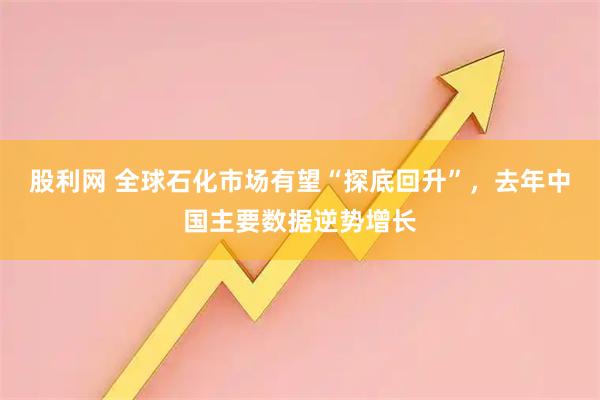 股利网 全球石化市场有望“探底回升”，去年中国主要数据逆势增长